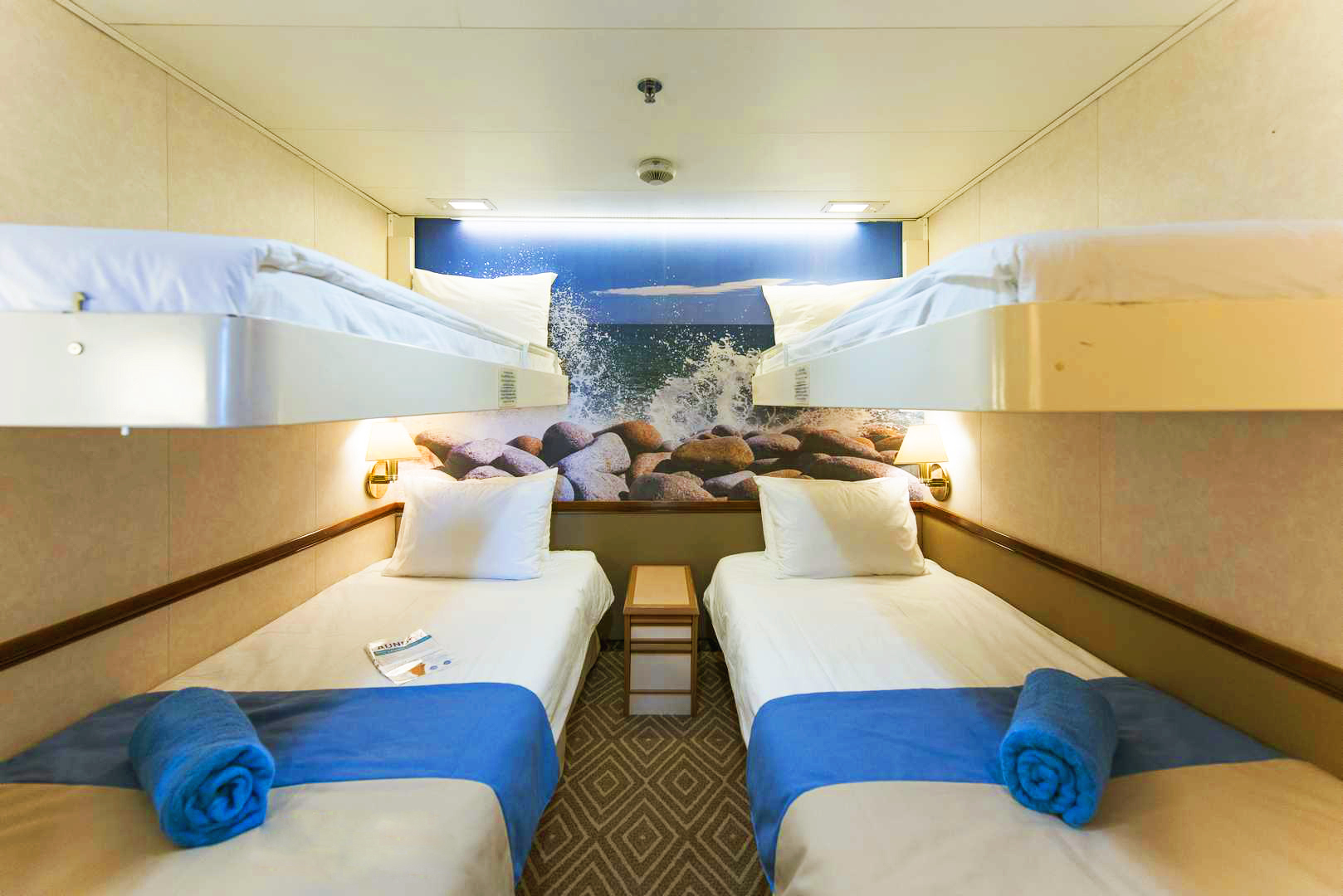 (CAT3) Premium İç Kabin